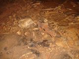 Sur les traces de l’ours des cavernes en Ardèche