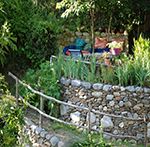 Du jardin paysan au jardin de plaisir
