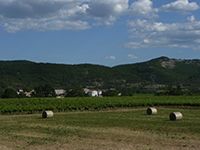 L’agriculture ardéchoise, garante d’une alimentation diversifiée et de qualité.