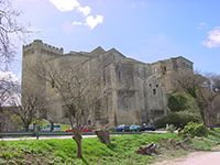 Arles et Abbaye de Montmajour