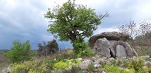 Dolmens en Ardèche