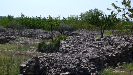 Les hommes et la nature dans les Gras d’Ardèche