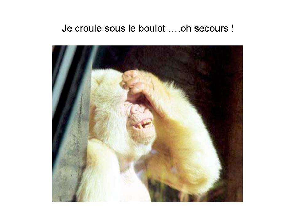 Sport sur ordonnance.