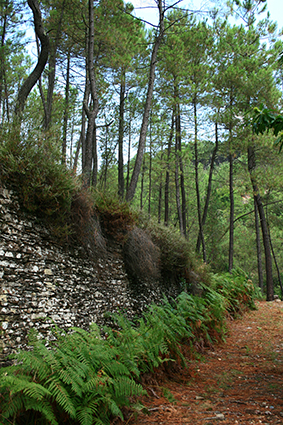 Sortie nature : Malbosc et le Bois d&rsquo;Abeau